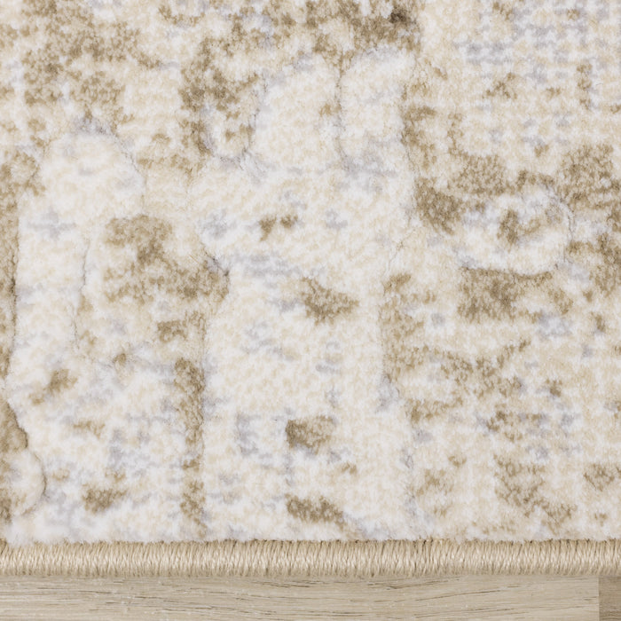 Isabelle Distressed Cream Area Rug - 7'10\" x 10'10\"