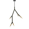 Dainolite Morgan 5 Light Pendant Matte Black/Aged Brass Finish Lamp