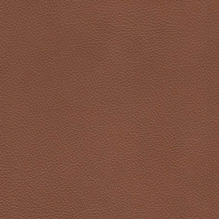 Hydeline Cassia Leather Chair - Brown