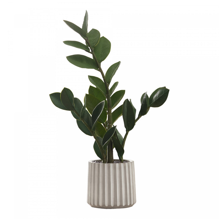 ZZ Tree 20\" Artificial Plant