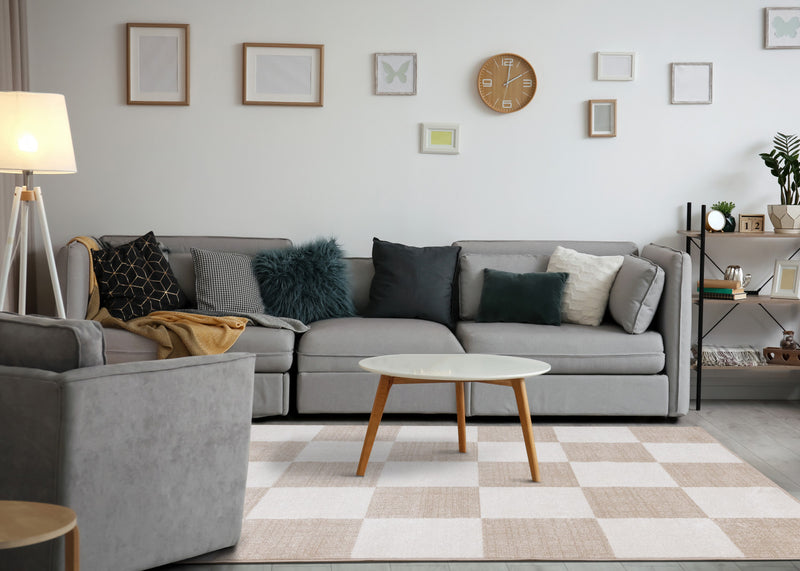 Covington Modern Checkered Indoor Area Rug - 2'8\" x 4'11\"