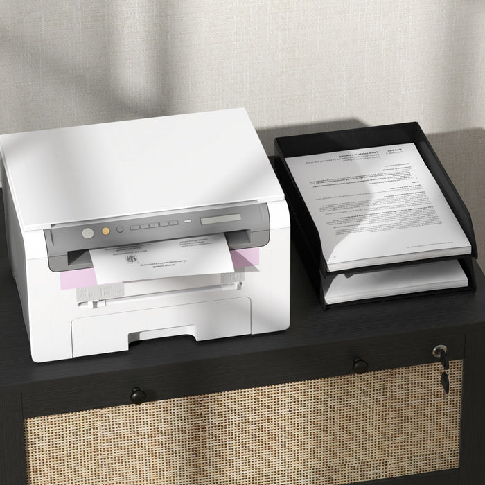 Vinsetto 2 Drawer File Cabinet With Locks For Letters, A4, Legal Size