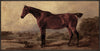 Horse Framed Acrylic Touch Art - 25\" x 49\"