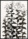 Botanica Framed High Gloss Artwork - 33\" x 45\"