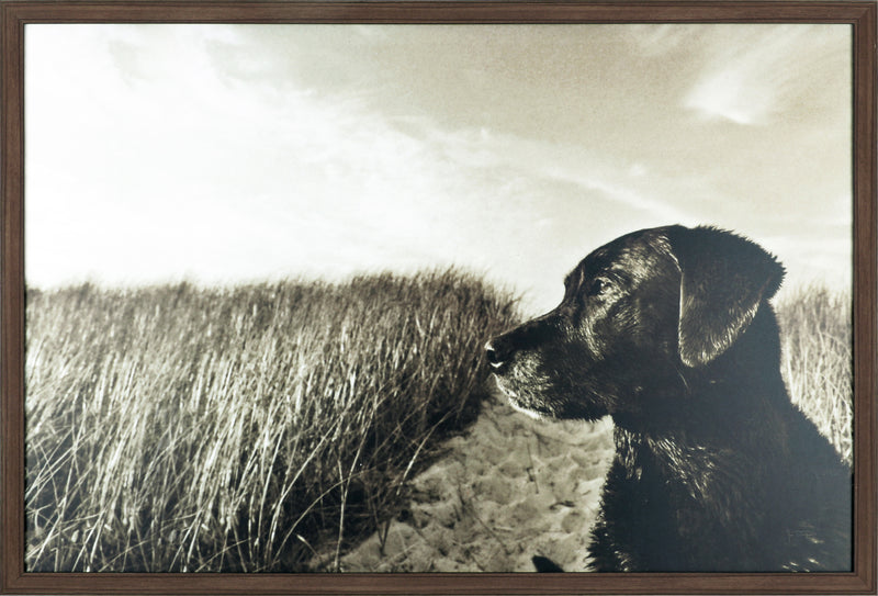 Farm Dog Framed Laminate Finish - 25.5\" x 37.5\"