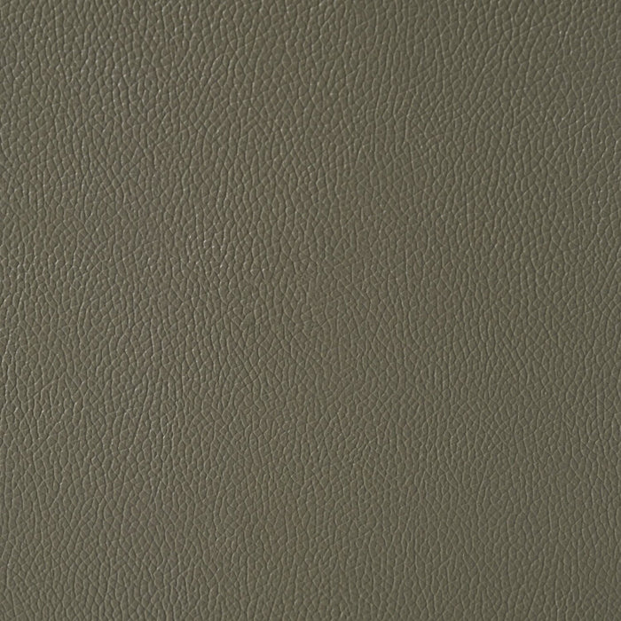 Matteo 42\" Genuine Leather Power Reclining Chair - Aviarah Grey