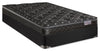 Springwall Advance Regatta Eurotop Medium Queen Mattress Set