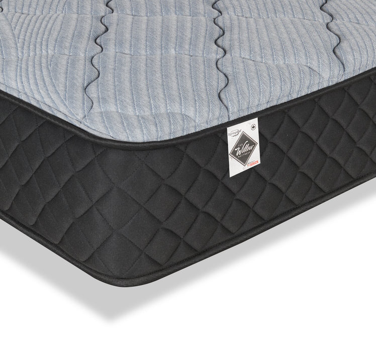 Springwall Red Cedar Tight Top Medium Twin XL Mattress-in-a-Box