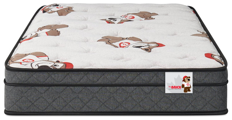 Brickley Eurotop Medium Twin Mattress