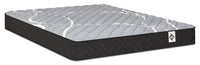 Springwall White Birch Tight Top Firm Queen Mattress-in-a-Box
