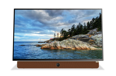 Skyworth Companion Portable™ 1080p FHD LED Display w/ Google TV (24P100) | Écran à DEL Companion PortableMC de Skyworth Full HD 1080p avec Google TVMC (24P100)