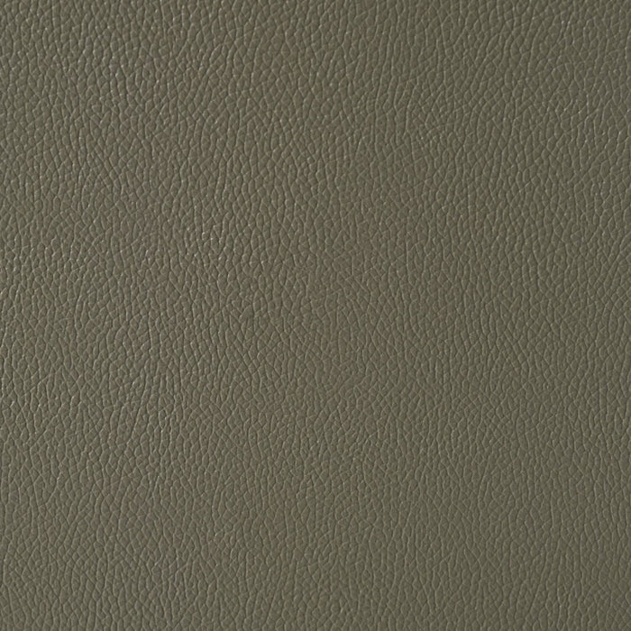 Matteo 64\" Genuine Leather Reclining Loveseat - Aviarah Grey