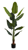 59\" Artificial Strelitzia Tree in 5\" Pot