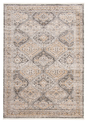 Leandra Taupe/grey Rug 8'0