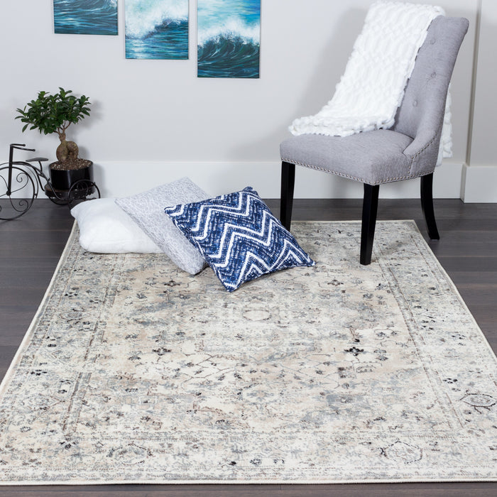 Far Beige 4x6 Area Rug