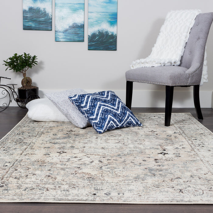 Far Beige 4x6 Area Rug