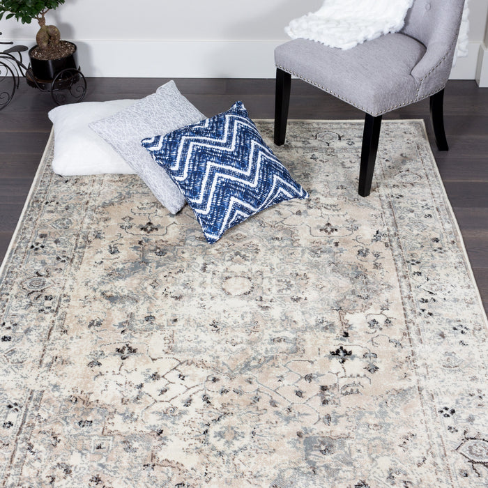 Far Beige 4x6 Area Rug