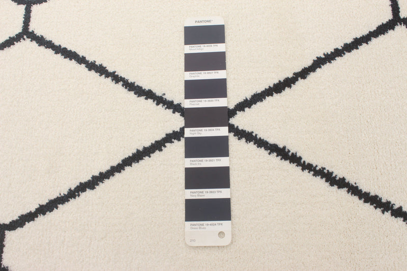 August White-Navy 5'3\" x 7'3\" Area Rug