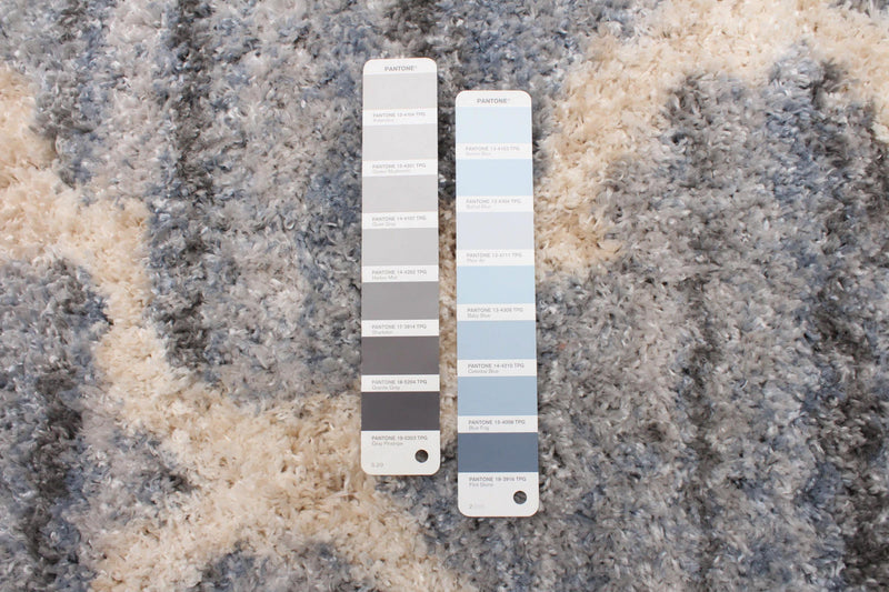 Dimity Grey/Light Blue Area Rug - 7'10\" x 10'2\"