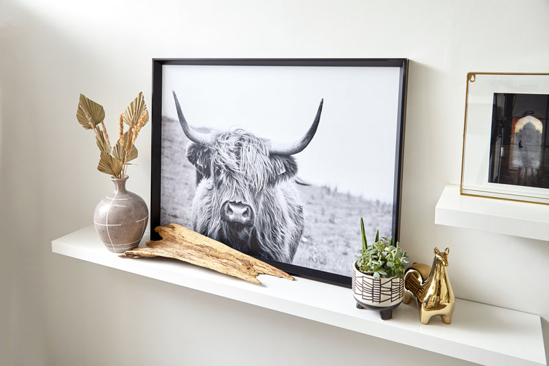 Framed Laminated Bull - 31\" x 41\"