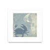 \"Ocean Life Ii\" Matted and Framed White 30x30 Wall Art