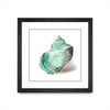 \"Shell In Mint\" Matted and Framed Black 30x30 Wall Art