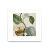 \"Cropped Turpin Tropicals Ii\" Matted and Framed White 30x30 Wall Art