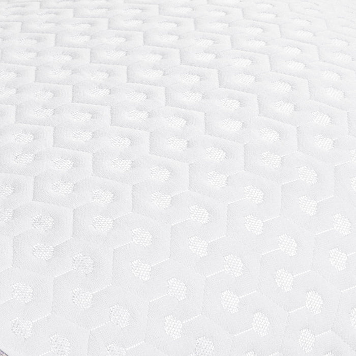 BEDGEAR Dri-Tec® Queen Pillow Protector