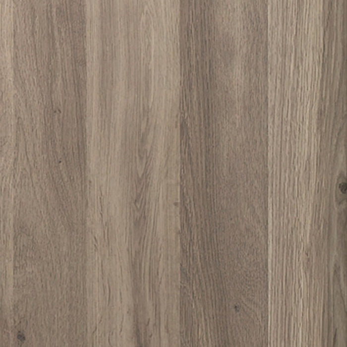 Davon 59.05\" Executive Office Desk with 2-Drawers & Cabinet - Salt Oak