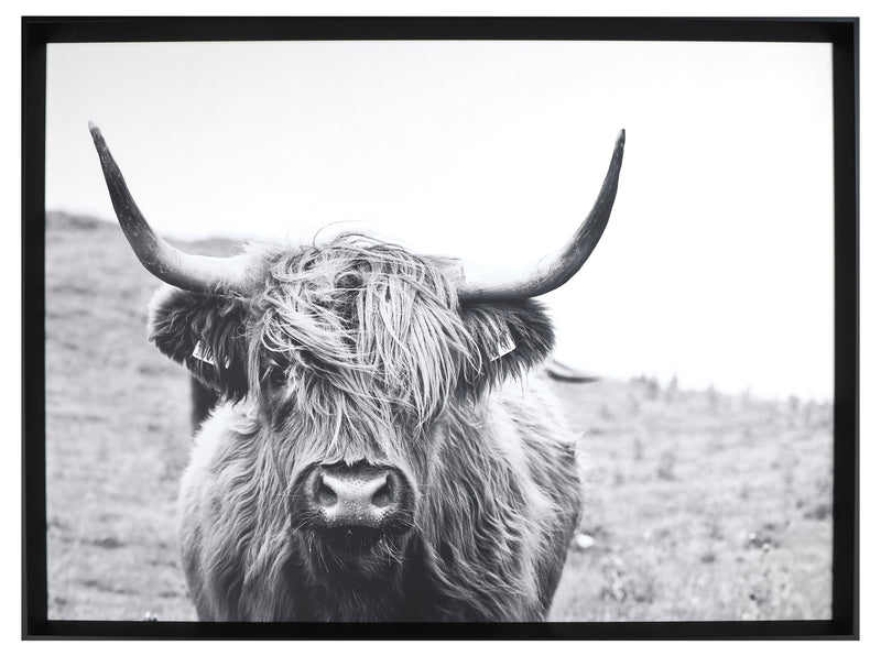 Framed Laminated Bull - 31\" x 41\"