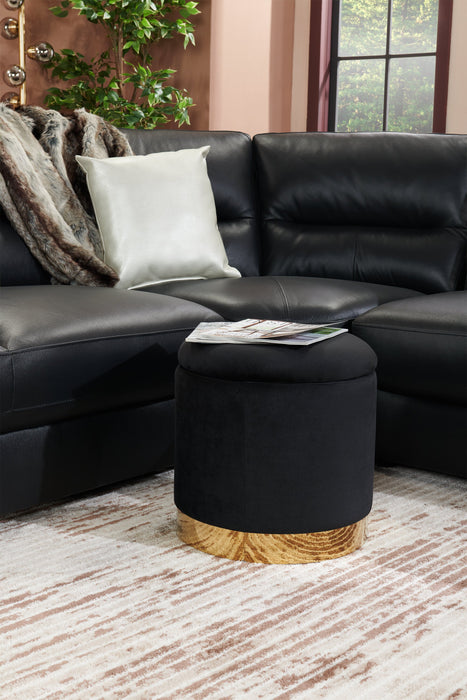 Phebe 16.5\" Storage Ottoman with Gold Trim Base - Black