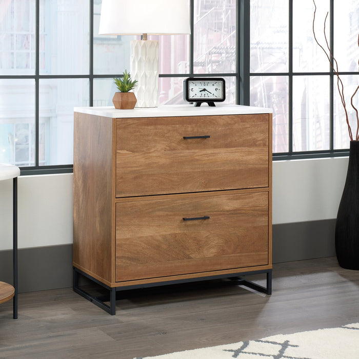 Taryn 27.95\" 2-Drawer Filing Cabinet - White & Light Brown