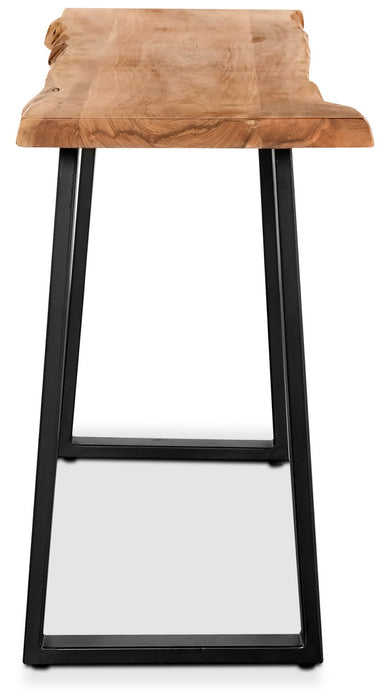 Agra 51\" Rustic Sofa Table - Brown and Black with Iron Legs