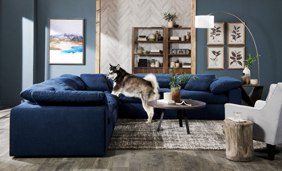 Everything You Need to Know When Styling Your Coffee Table