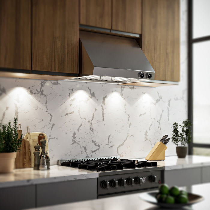 Forno Biagio 30-Inch Wall Mounted Range Hood, Stainless Steel, Heavy Duty -FRHWM5009-30