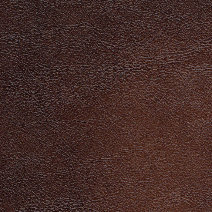 Hydeline Standwood Leather Chair - Brown