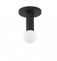 Dainolite Adams 1 Light Flush Mount Matte Black Lamp