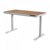 TygerClaw Electric Standing Desk with Wireless Charging