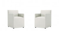 Anna Square Modern Vegan Leather Armchair in Stone Gray - Set of 2