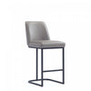 Serena Modern Metal Upholstered Counter Stool in Taupe Bar Stool