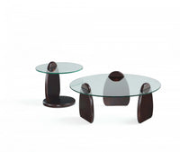 Artesia Modern Glam 2-Piece Coffee Table & End Table Set in Walnut 