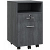 Vinsetto 2 Drawer Filing Cabinet with Lock for A4 Letter Size, Grey