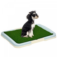 PawHut Dog Grass Pad with Tray 21