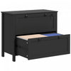 HOMCOM 2 Drawer Lateral File Cabinet for Letter, A4, Legal Size, Black