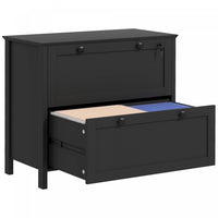 HOMCOM 2 Drawer Lateral File Cabinet for Letter, A4, Legal Size, Black