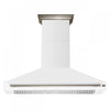 Forno Aria 60 Inch Wall-Mounted White Range Hood- FRHWM5095-60WHT