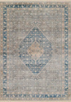 Lucia Traditional 8'0\" x 10'0\" Area Rug in Blue Indoor Area Rug