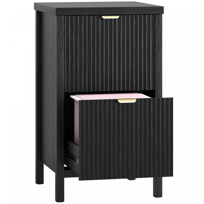 HOMCOM 2 Drawer File Cabinet, Filing Cabinet Fits Letter/A4 Size, Black
