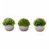Grass Tree 5\" Artificial Plant - Set of 3