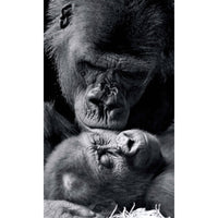 Apture Wall Art